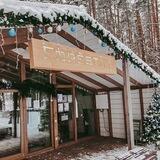 Детское игровое пространство Forest Kids