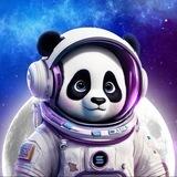 PANDY|PORTAL|NEWS