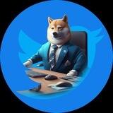 CEO DOGE OFFICIAL
