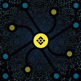 Binance Network Global | LOW TAX | RENOUNCED