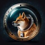 Future Inu | Portal