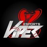 VIPER ESPORTS