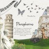 PHOSPHORUS STORE (OPEN)