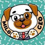 Milo CEO 🐶🚀💎⚡️