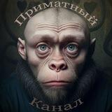 Приматный канал)
