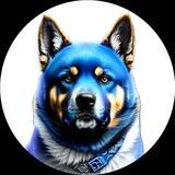 DogePay Network - Official