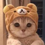 Tcatwifhat