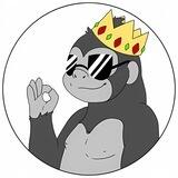 $CHIMP 🦍 3% USDT Reward 🦍