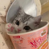 🍁🌻cute_space🌻🍁