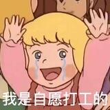 飞机号购买
