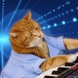 Keyboard Cat (Portal)