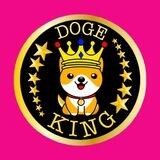 DOGE KING #BSC PORTAL