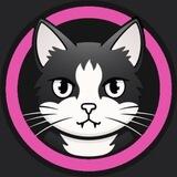 BobyCat Coin
