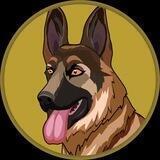 BergerDoge Coin Channel