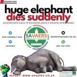 Died Suddenly - RSA