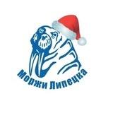 Липецкие моржи