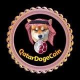 QATAR DOGE COIN PORTAL