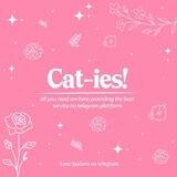 cat-ies, testimonials ♡
