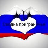 Сводка приграничья