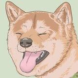 DogeCoin - $DC