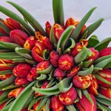 flowers_magadan_49