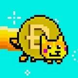 DOGECAT | PORTAL