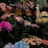 لحظِه ای باتو💙🌿