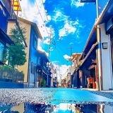 九儿手机口结账记录