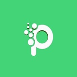 Plasmain Group
