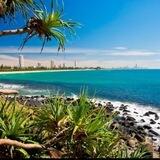 Gold Coast Action