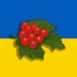 ВГ - Червона Калина