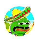 🐸PapiPepe🐸 $PPEPE | Fairlaunch on Pinksale