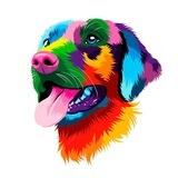 RAINBOW INU || LOW TAX 0/0