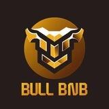 Bull BNB Portal