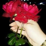 پروفایل ناز