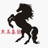 野马短彩直盘【强势归来】
