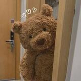 teddy.