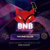 BNB DADDY ( THE BNB KILLER )