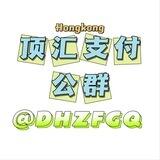 顶汇支付集团公群