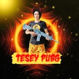 TESEY PUBG