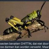 Meldpunt: Voedingsmiddelen met insecten🦗