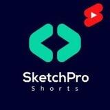 SketchPro Shorts
