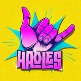 =[ HAOLES ERC20 ]= Portal