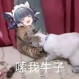 艾露猫的私人色图收藏😍