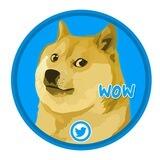 SuperDoge Fair Launch Announcement