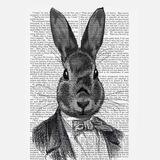 Art Rabbit