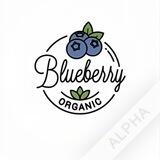 blueberry