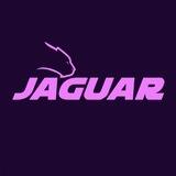 Jaguar Global 🌍