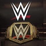 WWE赞助推广🥇（广告）