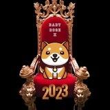 BabyDoge X